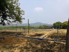 -天适樱花悠乐园