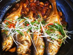 八分钟砂锅焗黄鱼-有喜胶东小馆(太申祥和店)