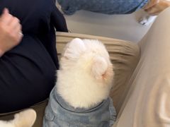 -怪兽屋·羊驼·猫咖·狗咖(俊华广场店)