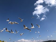 -月亮湾湿地公园