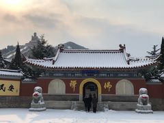 -龙口南山旅游景区