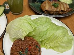 -VEGA VEGA 我行我素