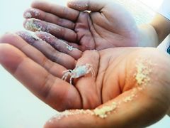 -中央格兰德岛温泉度假酒店 - 全包