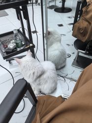 -允·여성헤어女发工作室