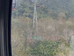 -呀诺达热带雨林