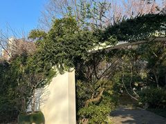 -武汉园博园(武汉自然博物馆)