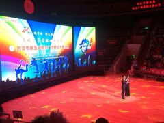 内景&nbsp;下沉式舞台-武汉杂技厅