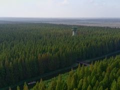 -黄海国家森林公园