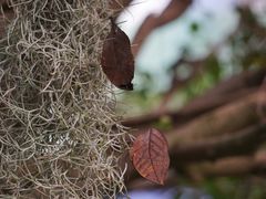 -上海动物园(地铁站)