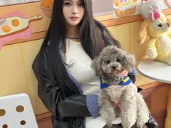 -汪说·狗咖·拼豆·宠物周边DIY(旺城大厦店)