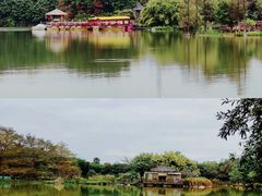 -海珠湖公园