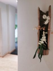 -香秀空间科技抗衰·美容中心