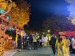 -青岛方特梦幻王国