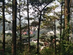 -滴水岩森林公园