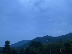 -深圳仙湖植物园