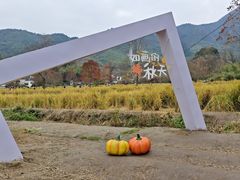 -塔川景区