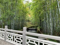 -广东温泉宾馆