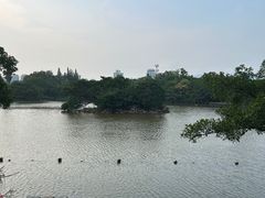 -江心屿景区