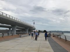 -演武大桥观景平台