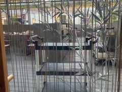 -蛙小侠(珠海华发商都店)
