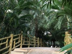 -龙达温泉生态城