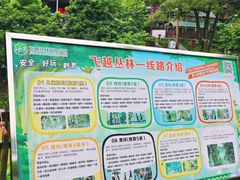 -天鹿湖森林公园