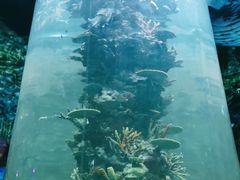 -青岛嘉年华主题乐园