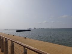 -东疆建设开发纪念公园