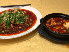 -陈麻婆豆腐总店