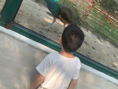 -北京鹿世界主题园