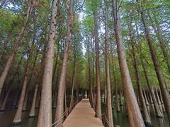 -捞渔河湿地公园