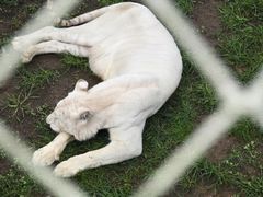 -西霞口神雕山野生动物世界