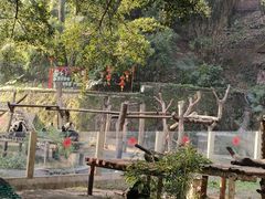 -重庆动物园·东二门售票处