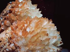 -湖南省地质博物馆