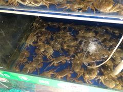 -阳澄湖大闸蟹·琼灵阁牌品牌连锁(吴中总店)