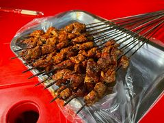 -尕胡才炕锅烤羊肉馆(八一路店)