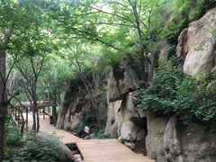 -大岭沟猕猴桃谷风景区