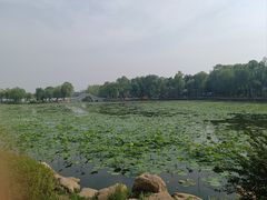 -长春市南湖公园