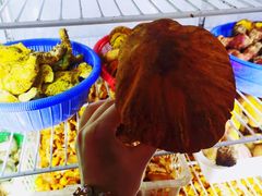 -双喜农庄·菌香园(安居家园店)