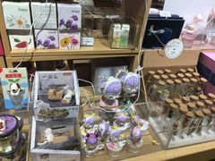 -九木杂物社(恒隆广场店)