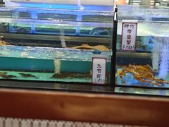 -稻香海鲜饭店(第一国际店)