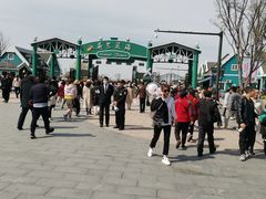 -荷兰花海