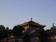 -碧江金楼
