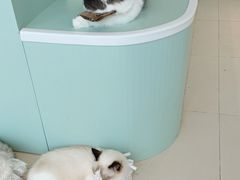 -怪兽屋·羊驼·猫咖·狗咖(俊华广场店)