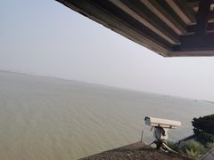 -大湾区中央湿地公园