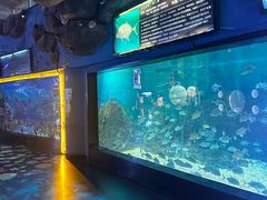 -烟台海昌鲸鲨海洋公园