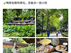-王婆婆老妈蹄花川菜馆·非物质文化遗产(太古里一店)
