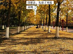 -金陵图书馆