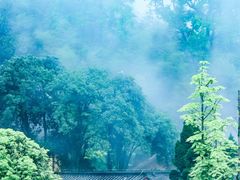 -缙云山景区