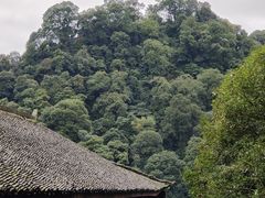 -青城山